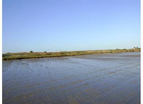 the 'road' to cabo polonia