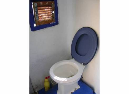 the toilet
