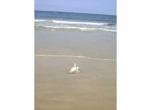 Another shot of the head