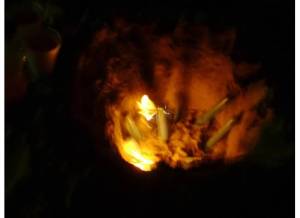 these were the holes in the sand